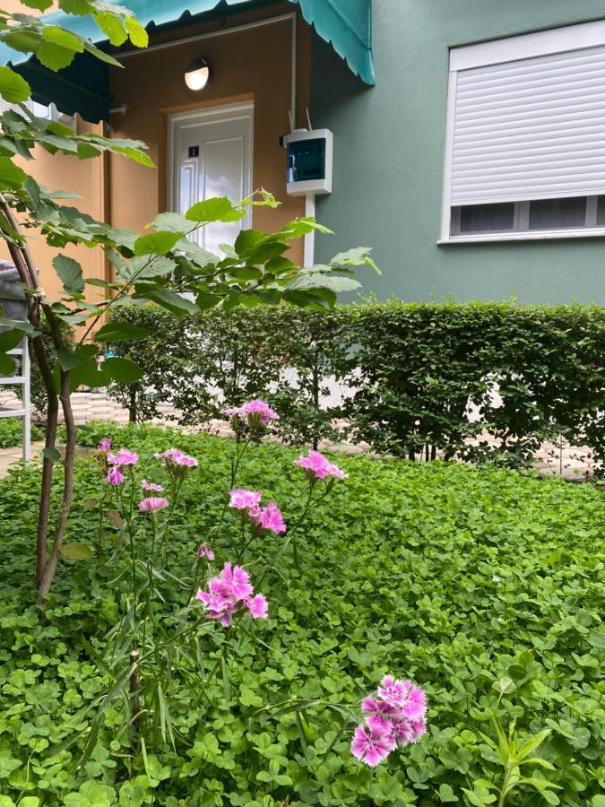 Vila Ajdinaj Μπεράτ Εξωτερικό φωτογραφία